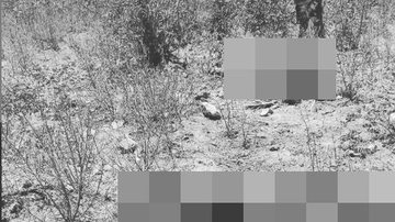 Reprodução/ Vermelhinho Bahia