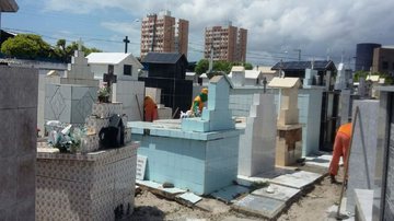 Divulgação