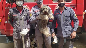 Divulgação/Corpo de Bombeiros