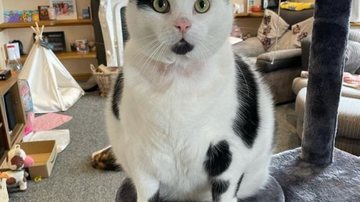 Reprodução/Instagram