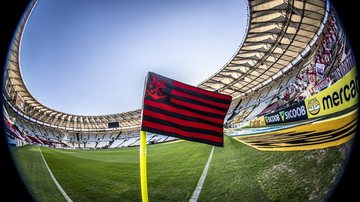 Alexandre Vidal/Flamengo