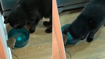 Reprodução/Arquivo Pessoal