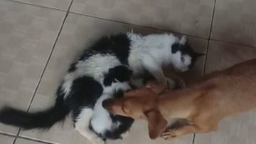 Reprodução/TV Anhanguera