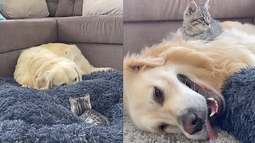 Reprodução/Youtube