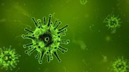 Pixabay