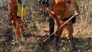 Divulgação/Corpo de Bombeiros