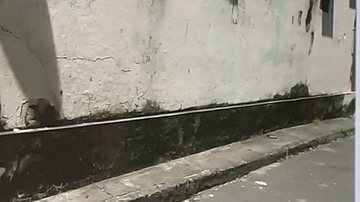 Reprodução/TV