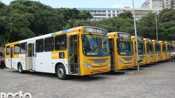 Arquivo Bnews