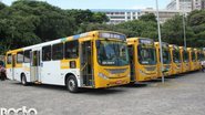 Arquivo Bnews