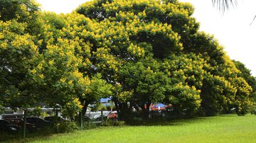 Antonio Cruz/Agência Brasil