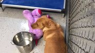 Reprodução/Facebook