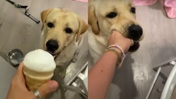 Reprodução/TikTok/kolotovasveta