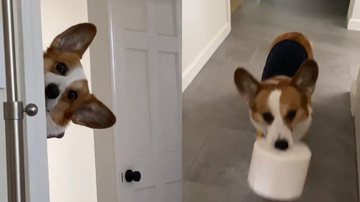 Reprodução/redes sociais