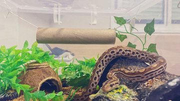 Reprodução/Arquivo Pessoal