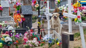 Reprodução/Arquivo Pessoal