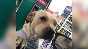 Reprodução/Arquivo pessoal