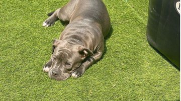 Reprodução / Instagram