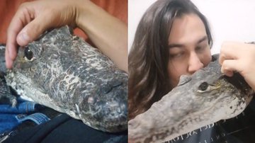 Reprodução/TikTok