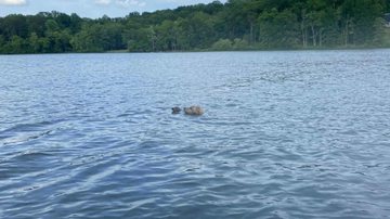 Reprodução /  Facebook