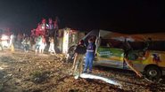 Reprodução/Sul da Bahia News