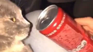 Reprodução / Instagram