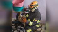Corpo de Bombeiros