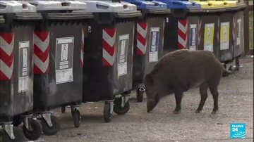Reprodução/TV France 2