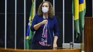 Pablo Valadares/Câmara dos Deputados