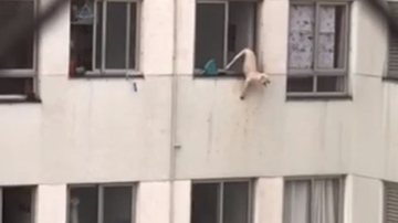 Reprodução/Youtube