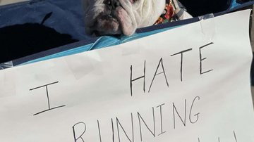 Reprodução/Instagram @GOODGOLLYMROLLIE