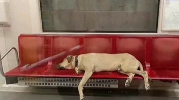 Reprodução/Twitter