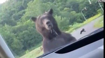 Reprodução/Twitter