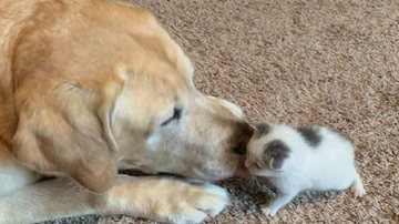 Reprodução/Instagram