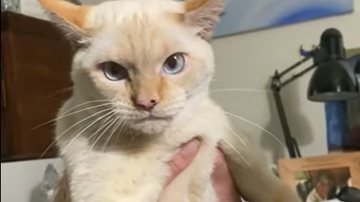 Reprodução/YouTube