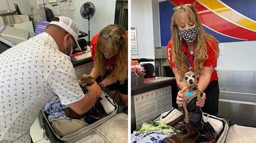 Reprodução/Facebook