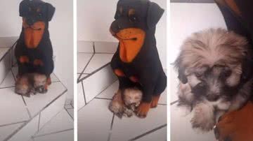 Reprodução/TikTok