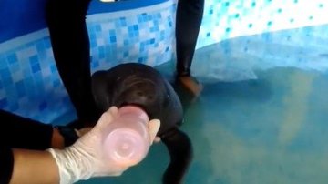 Reprodução/Facebook