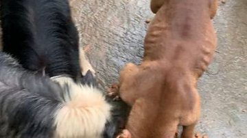 Reprodução/ Instagram