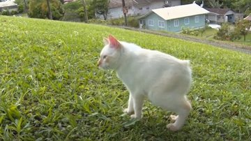 Reprodução/Instagram