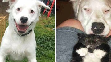 Reprodução/Arquivo Pessoal