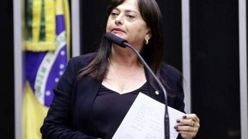Arquivo BNews
