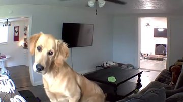 Reprodução/Youtube