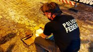 PF/SE