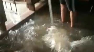 Reprodução/Twitter