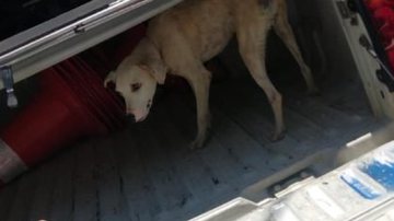 Divulgação / Prefeitura de Aquiraz