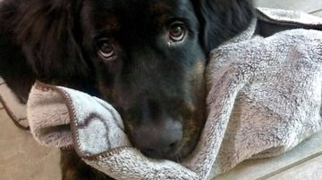 Reprodução/Arquivo Pessoal