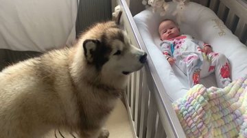 Reprodução/Youtube