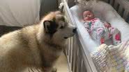 Reprodução/Youtube