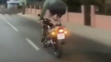 Reprodução