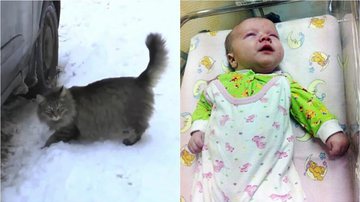 Reprodução/NY Post